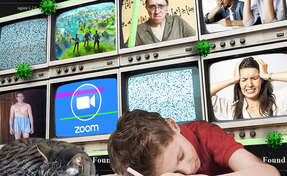 Взято из: Яндекс Картинки