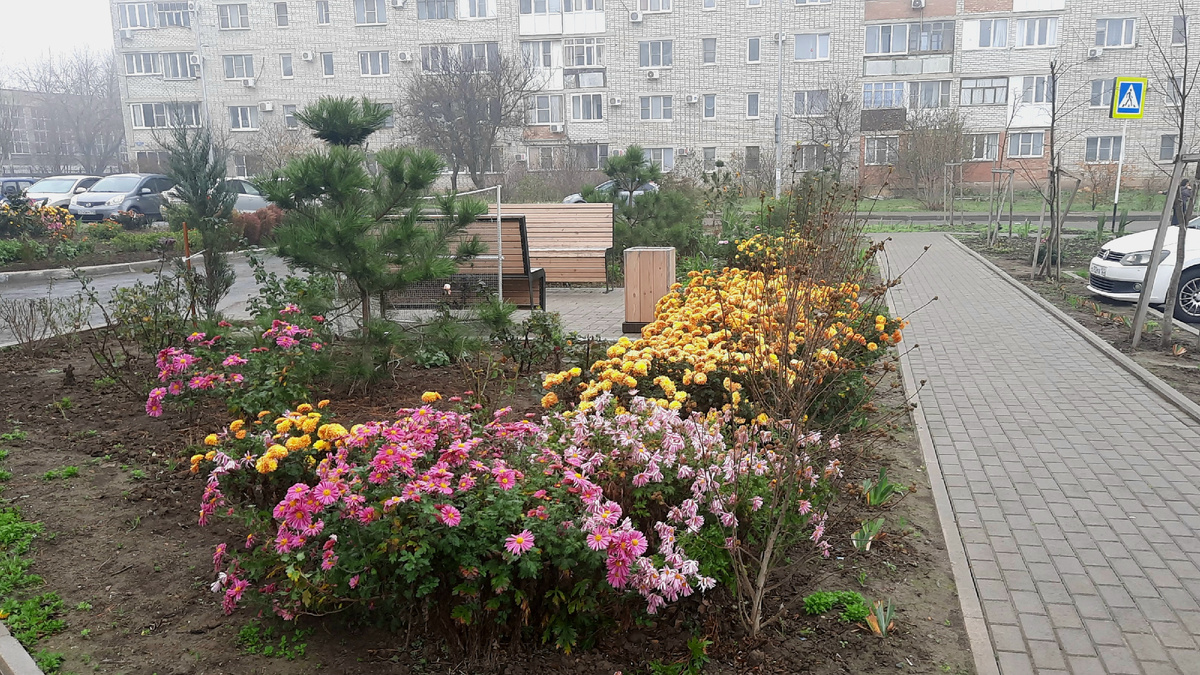 Конец ноября.