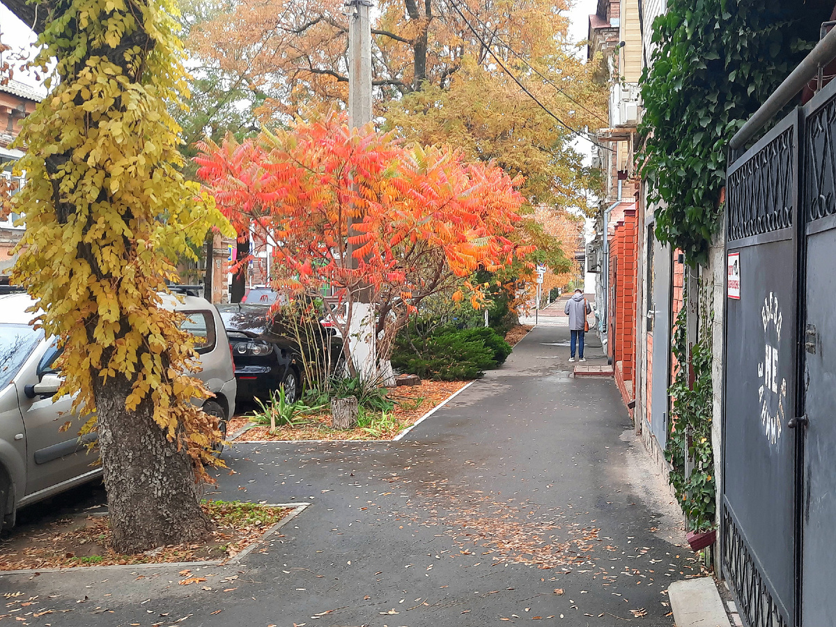 Начало ноября 