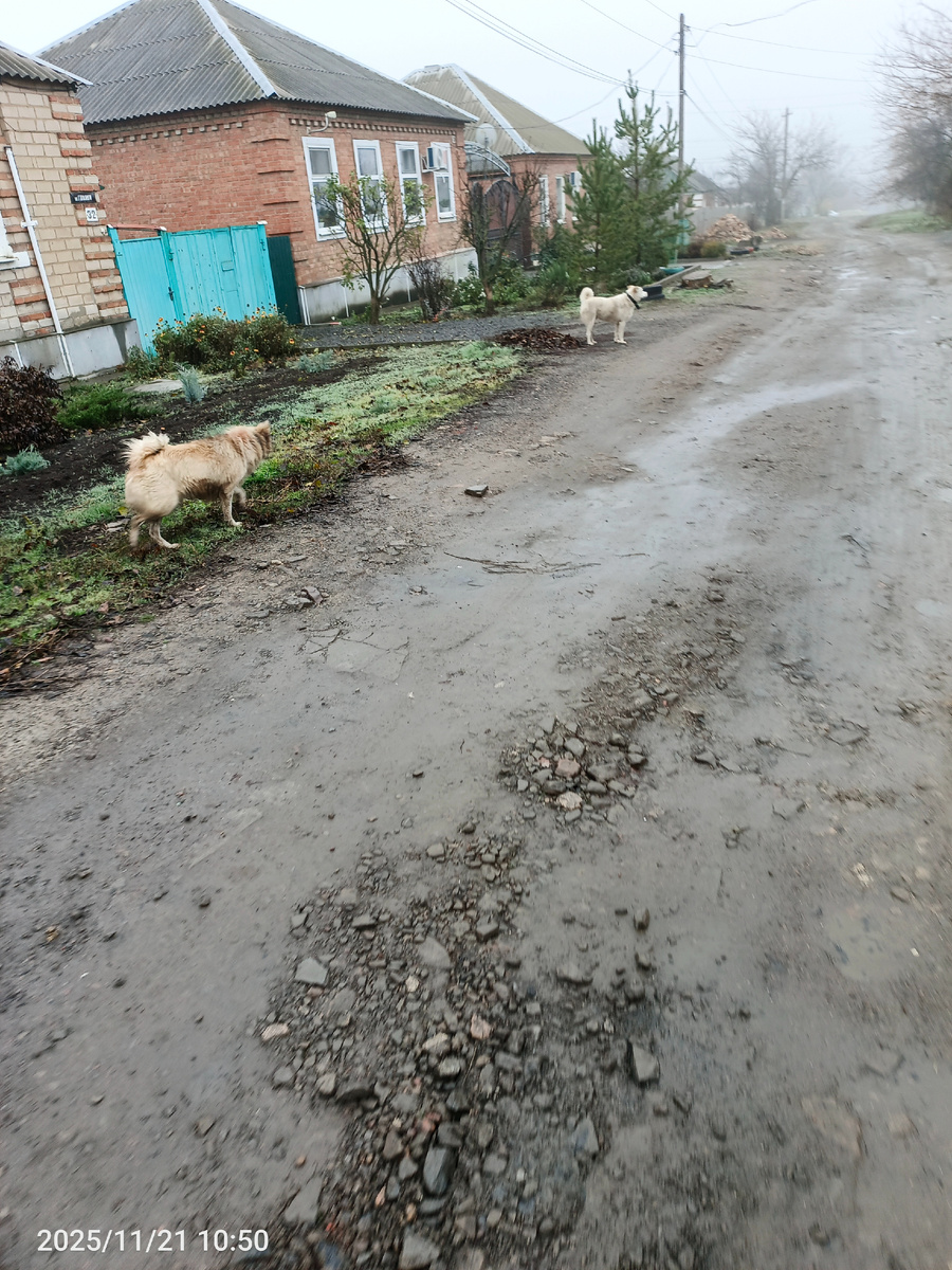 Но шли они вдвоём не всю дорогу.