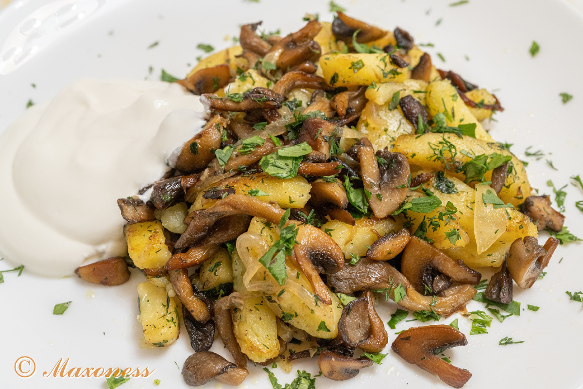 Жареный картофель с грибами и сметаной. Русская кухня