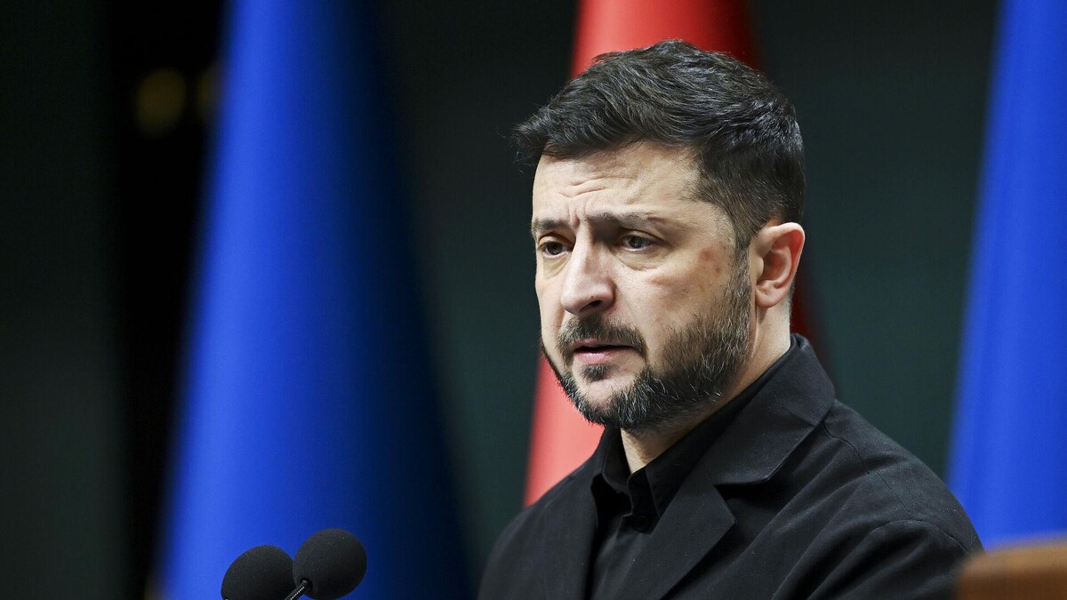 - Канары мне больше нравятся...