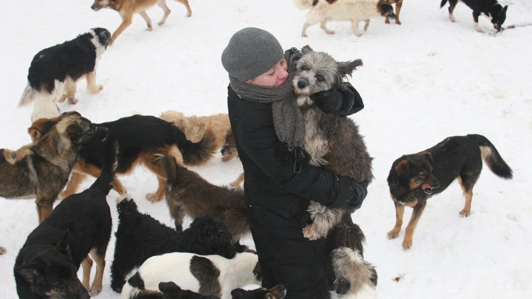    Aleksander Lyskin/Globallookpress