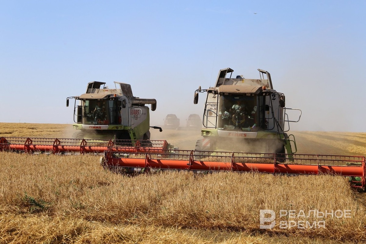    В среду два сельхозпредприятия «Аксуагро» и «Агрофирма Южная», входившие в группу компаний «АгроИнвест» Раиса Сулейманова, сменили собственника. Алексей Вангаев / realnoevremya.ru