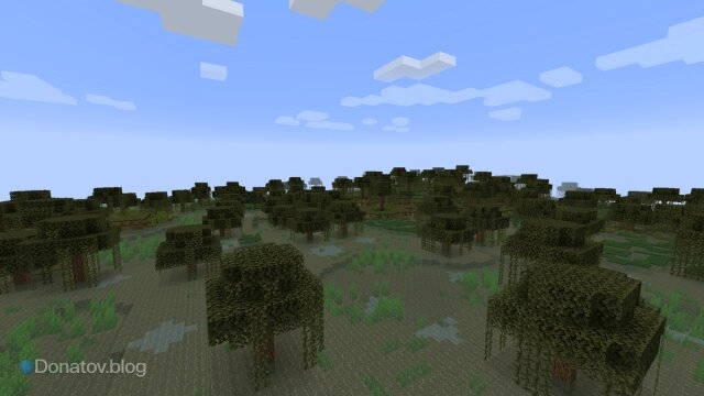    Болото в «Майнкрафте»