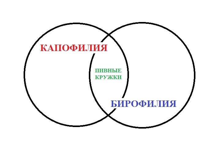 Соотношение капофилии и бирофилии