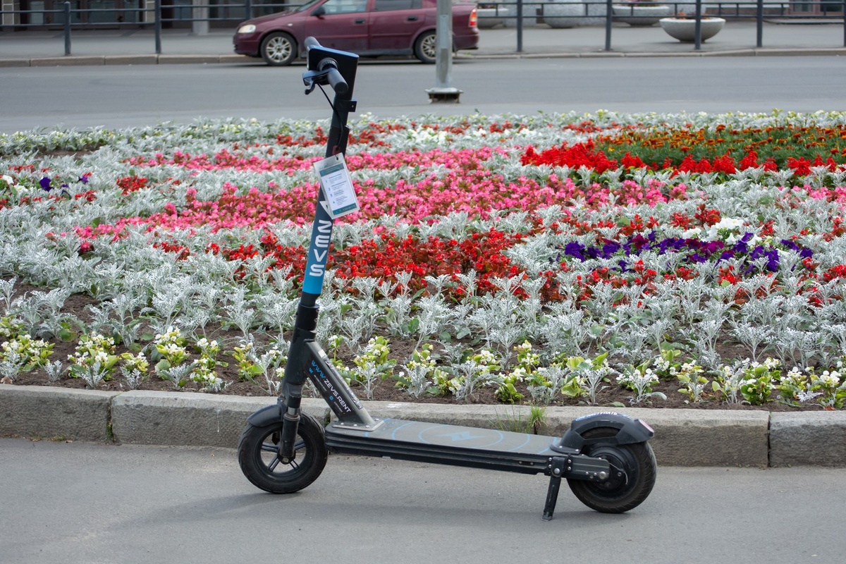    фото: © Столица на Онего