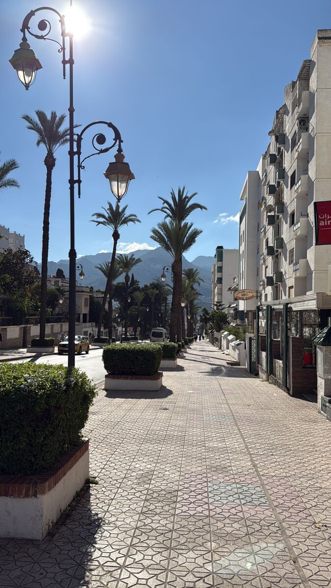 Марокко и пальмы