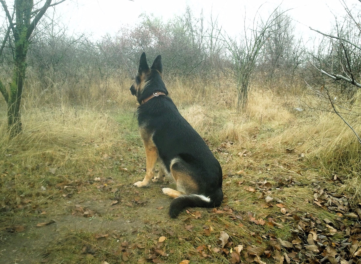 Фото автора