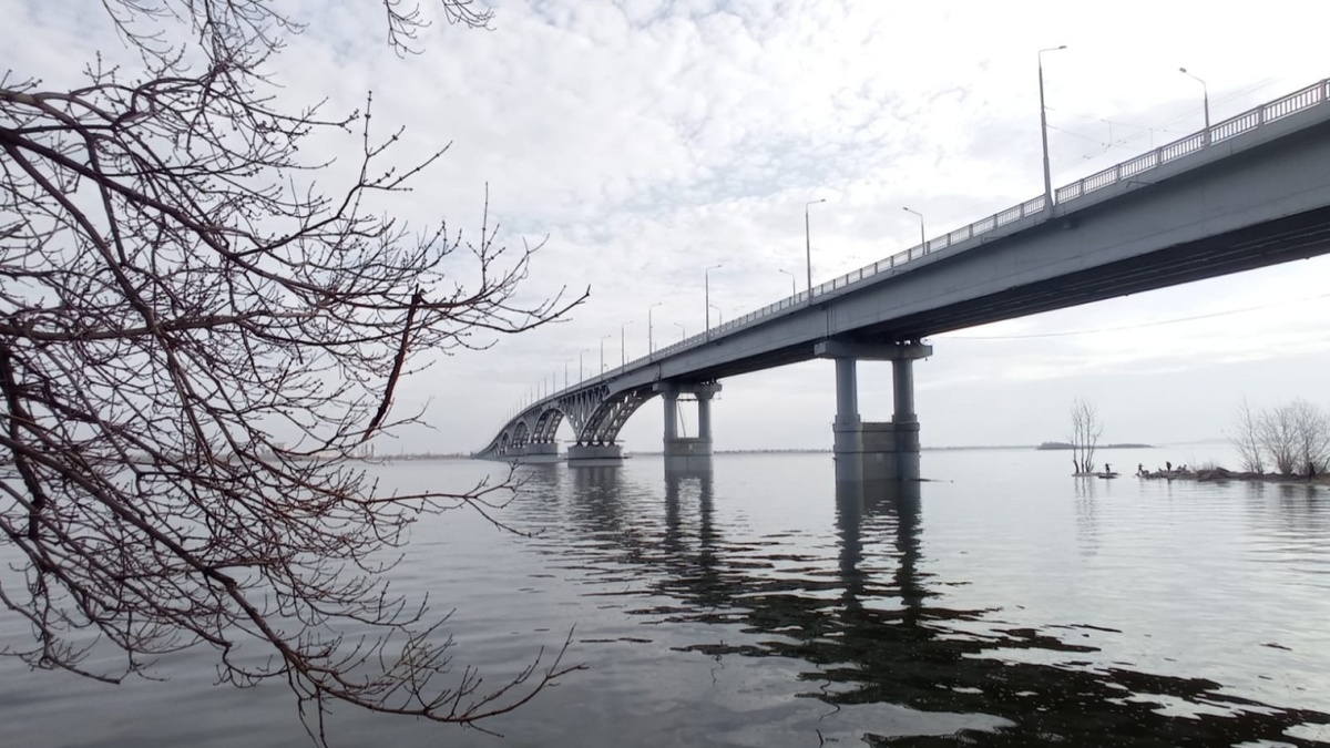    Вязаный Саратов стал бисерным и снова восхитил горожанНовости Саратова и области – Сетевое издание «Репортер64»