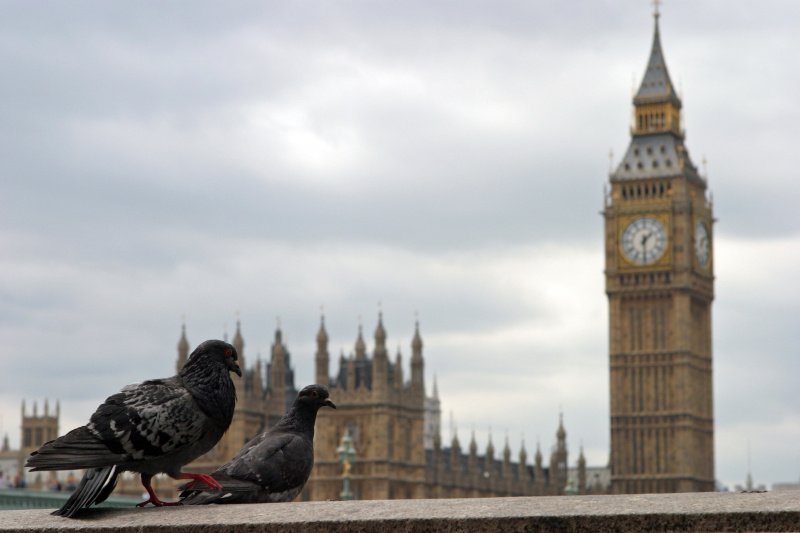    ФОТО: Dmitriy Puzyrev/GLOBALLOOKPRESS