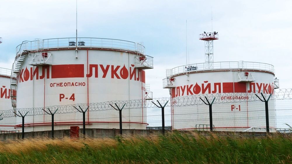    Фото: SeagullNady/Shutterstock/Fotodom