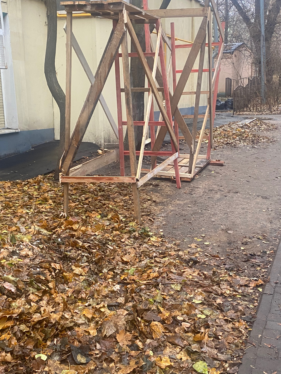 Задний двор