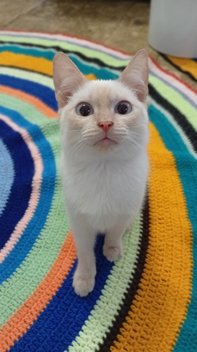 Фото из личного архива