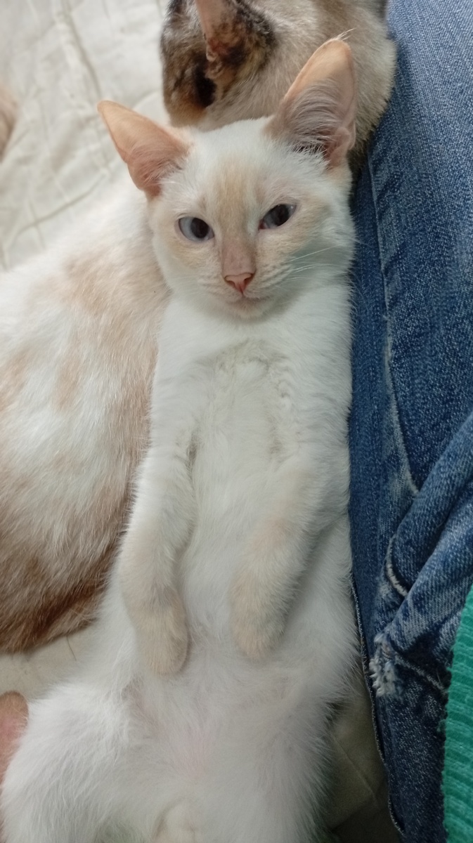 Фото из личного архива