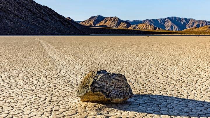  Фото: Shutterstock