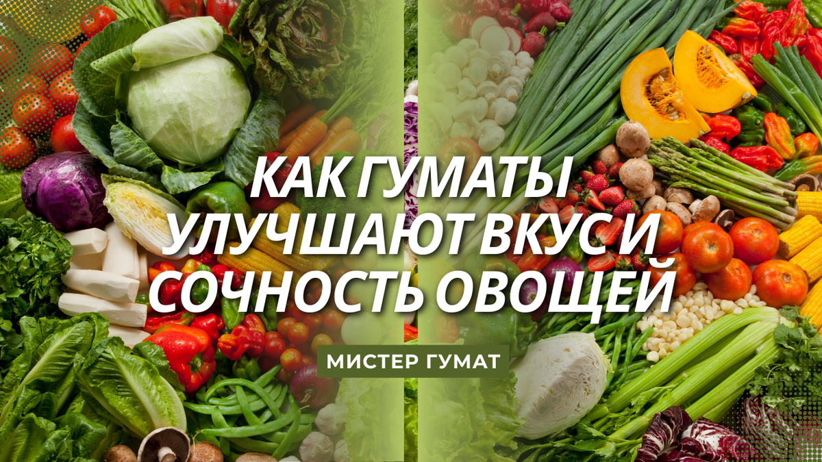Каждый огородник мечтает, чтобы овощи были не просто крупными, а вкусными — хрустящими огурцами, сладкими томатами, ароматными перцами.
 Но нередко урожай получается «безвкусным»: вода есть, подкормки есть, а вкуса нет.
 Почему так происходит и как вернуть овощам природную сладость — разберёмся по-настоящему, а не «по рекламе».