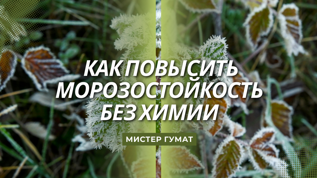 Зима — испытание для каждой веточки, каждой почки. 