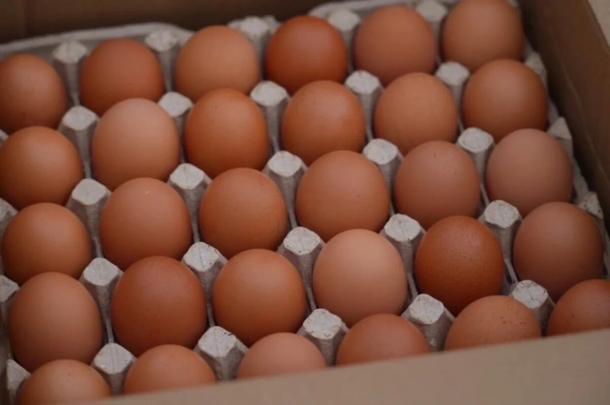    На Камчатке птицефабрика увеличила производство до 200 тысяч яиц в сутки