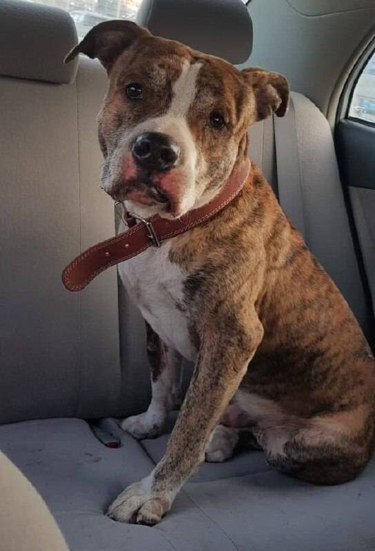    Источник фото: "Владивосток №1"