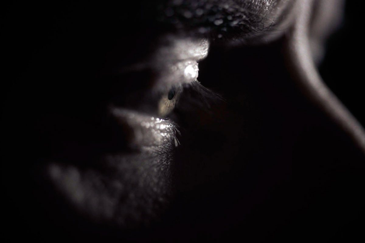 Гипноз — это состояние, похожее на транс, в котором человек может изменить восприятие, мышление и поведение с помощью внушения