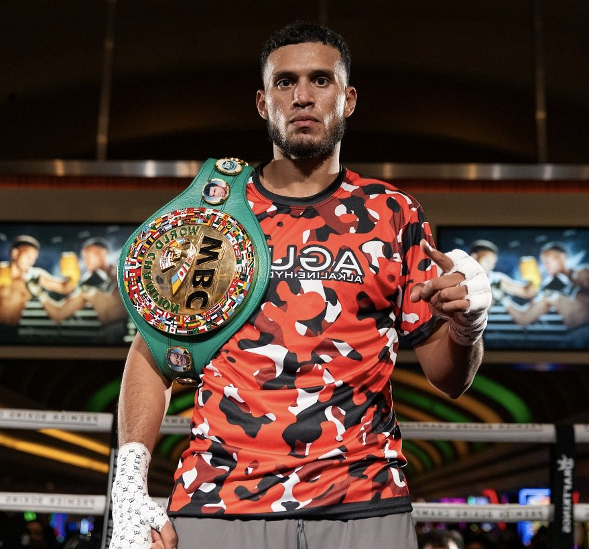 Дэвид Бенавидес