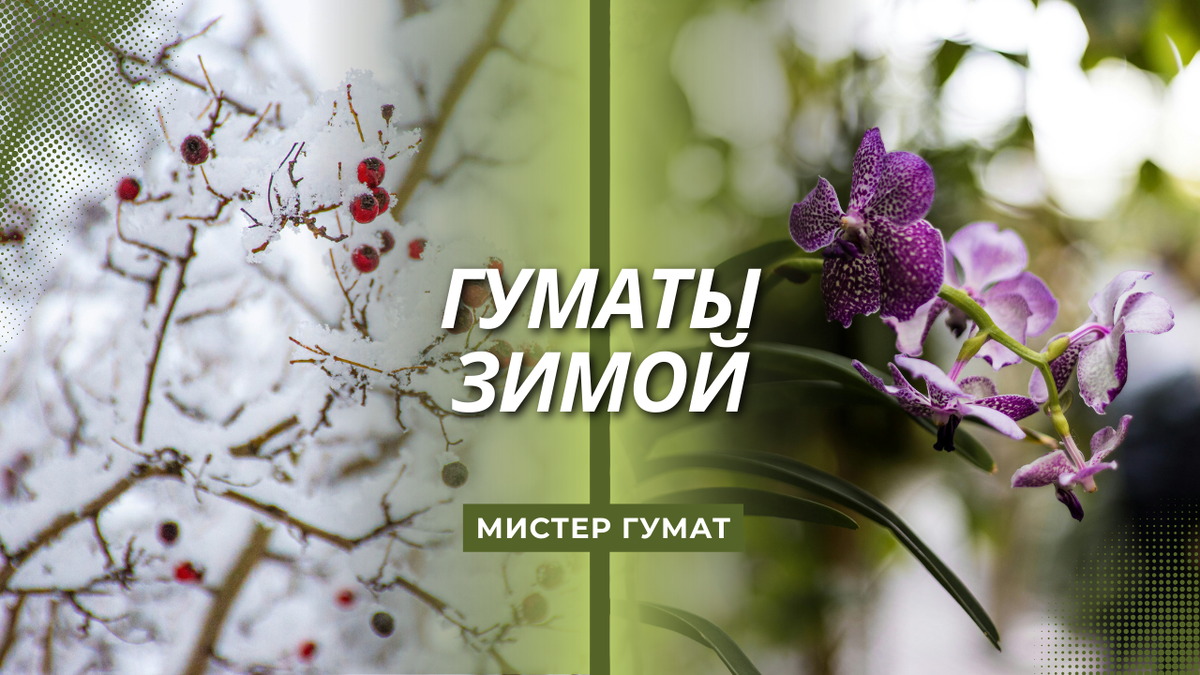 Опытные хозяйства и тепличники знают: правильный уход зимой экономит силы весной.