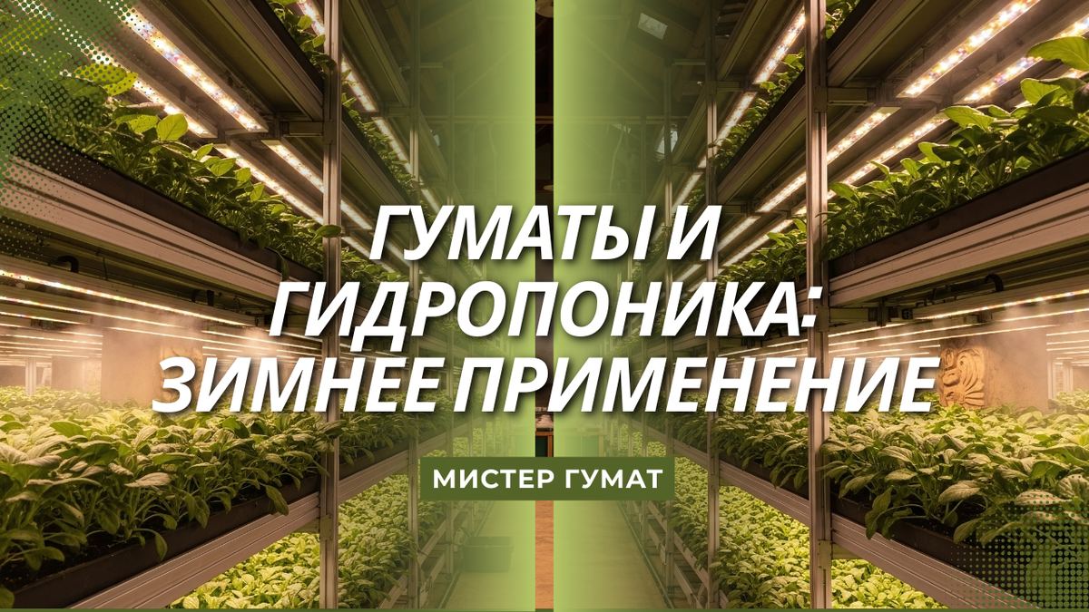 Гидропоника — это будущее земледелия.