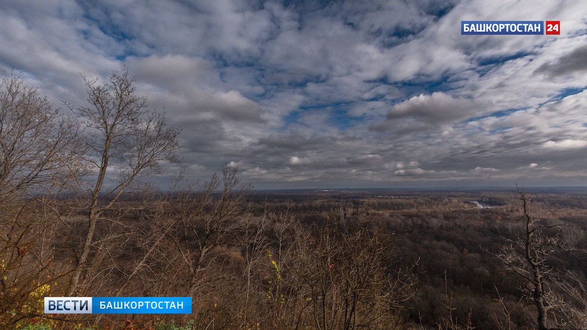    Конец ноября в Башкирии обещает быть аномально теплым