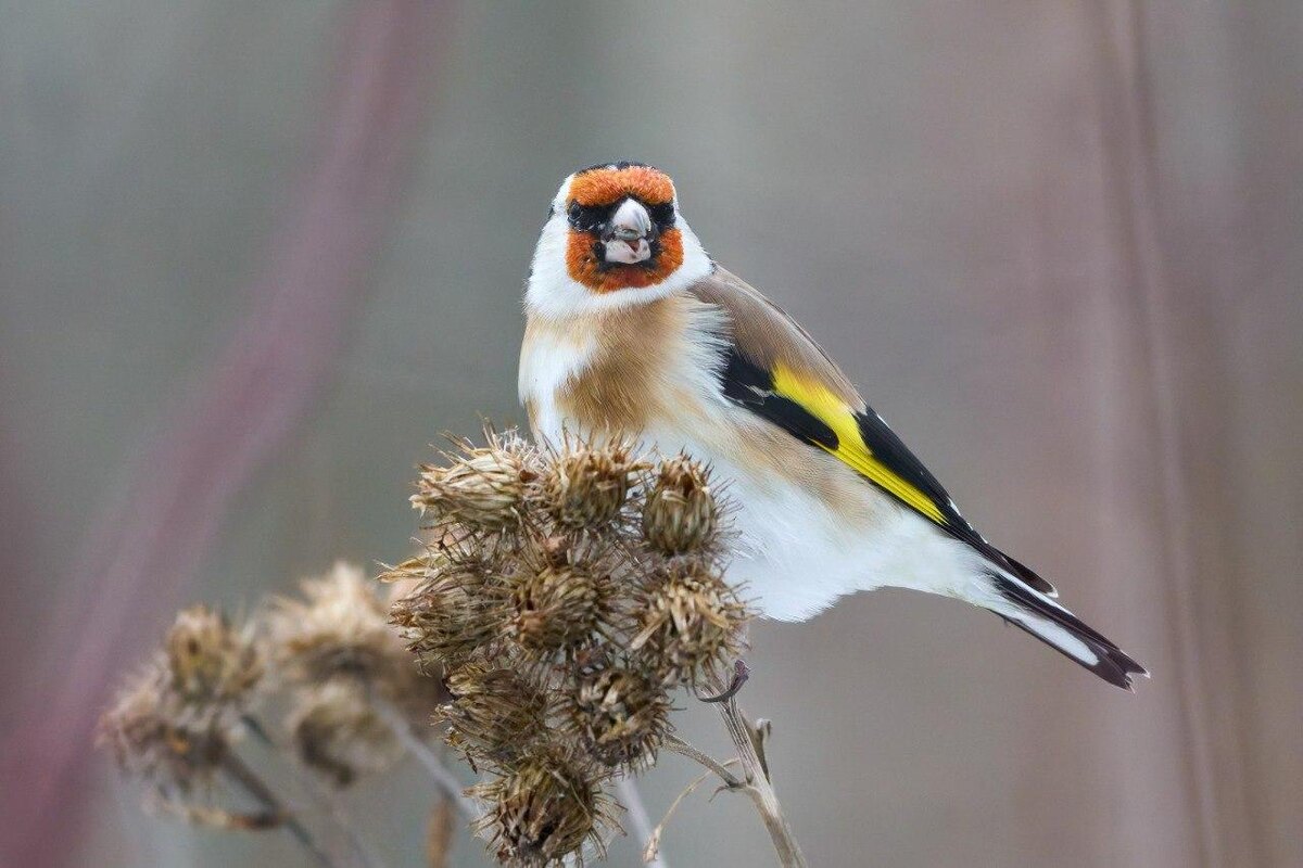 Фото: Станислав Крутоверцев