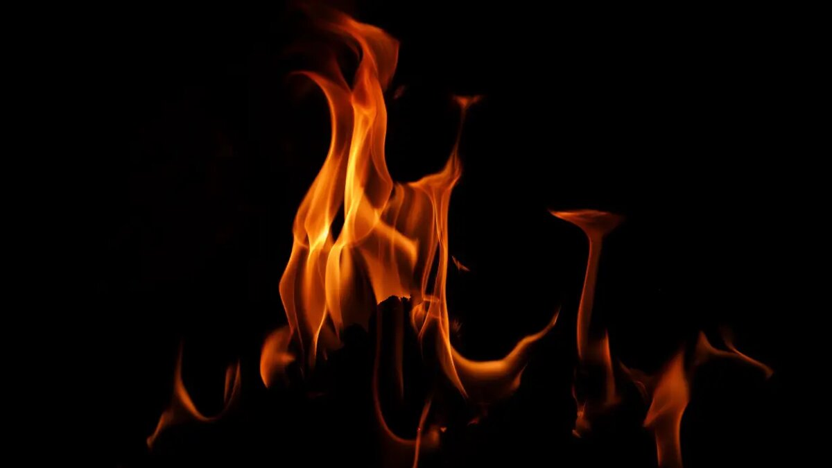    Фото: vm.ru Мария Михайлова