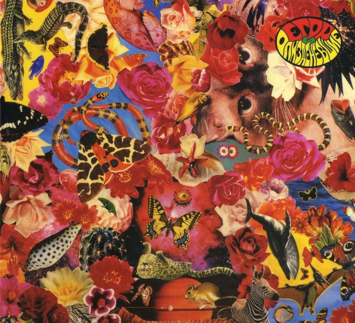 Коллажи Егора Летова.