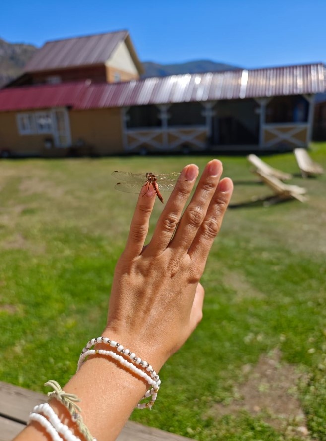 Лето в Акташе