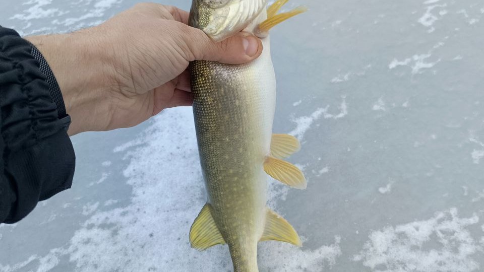 Прогноз клёва рыбы на декабрь 2025 года с таблицей 🔥