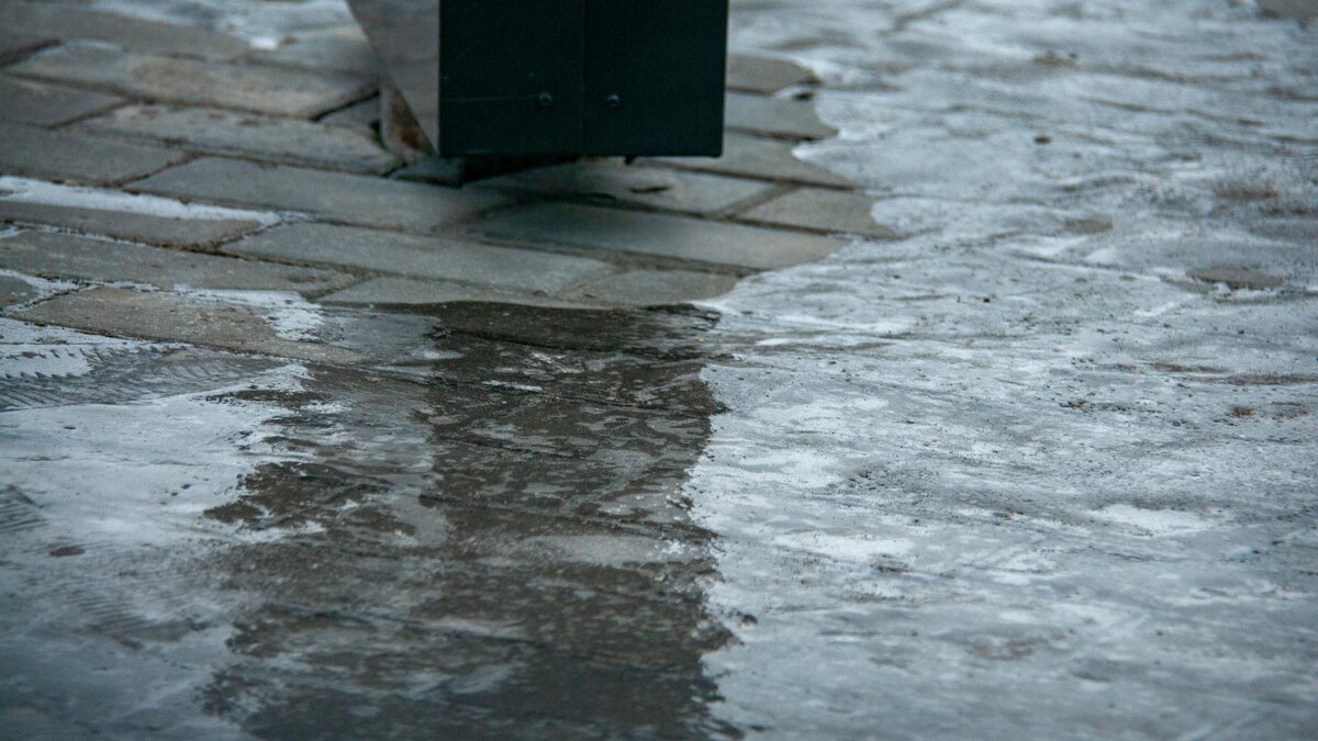    Фото: Svetlana Vozmilova/Global Look Press