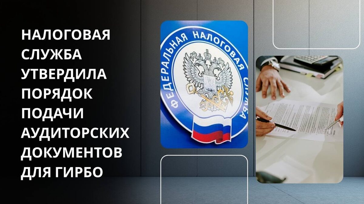 Налоговая служба утвердила порядок подачи аудиторских документов для ГИРБО