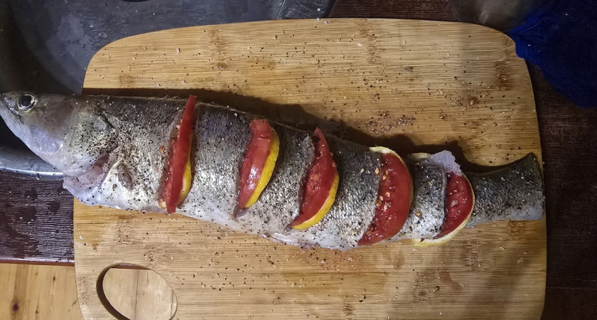    Какая рыба действительно полезна и хороша на вкус: ешьте дважды в неделю - список от нутрициолога