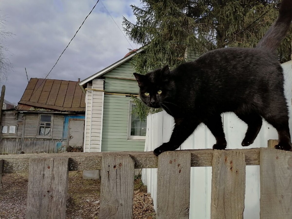 Фото: Олег Рукавицын/Царьград