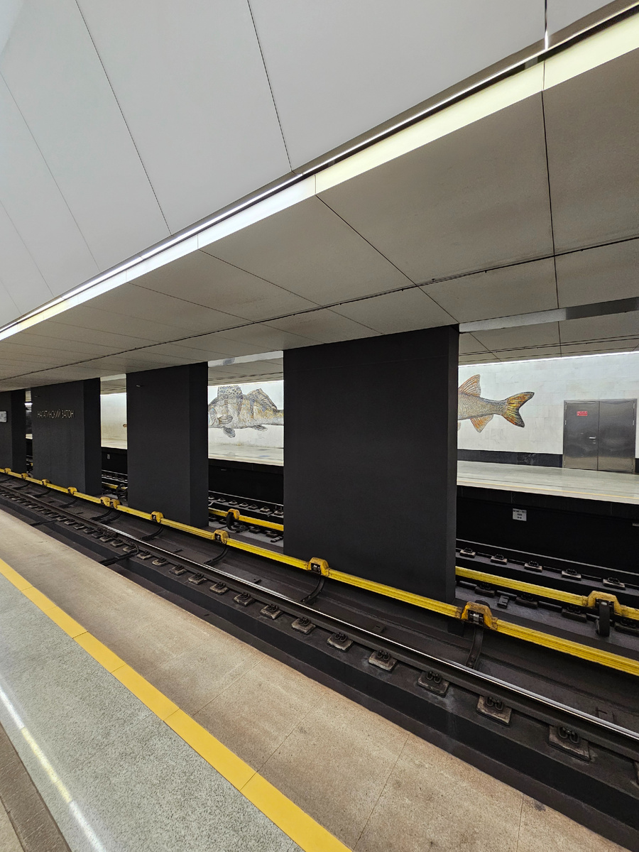 Станция метро "Нагатинский затон" (автор фото Л.Баева)