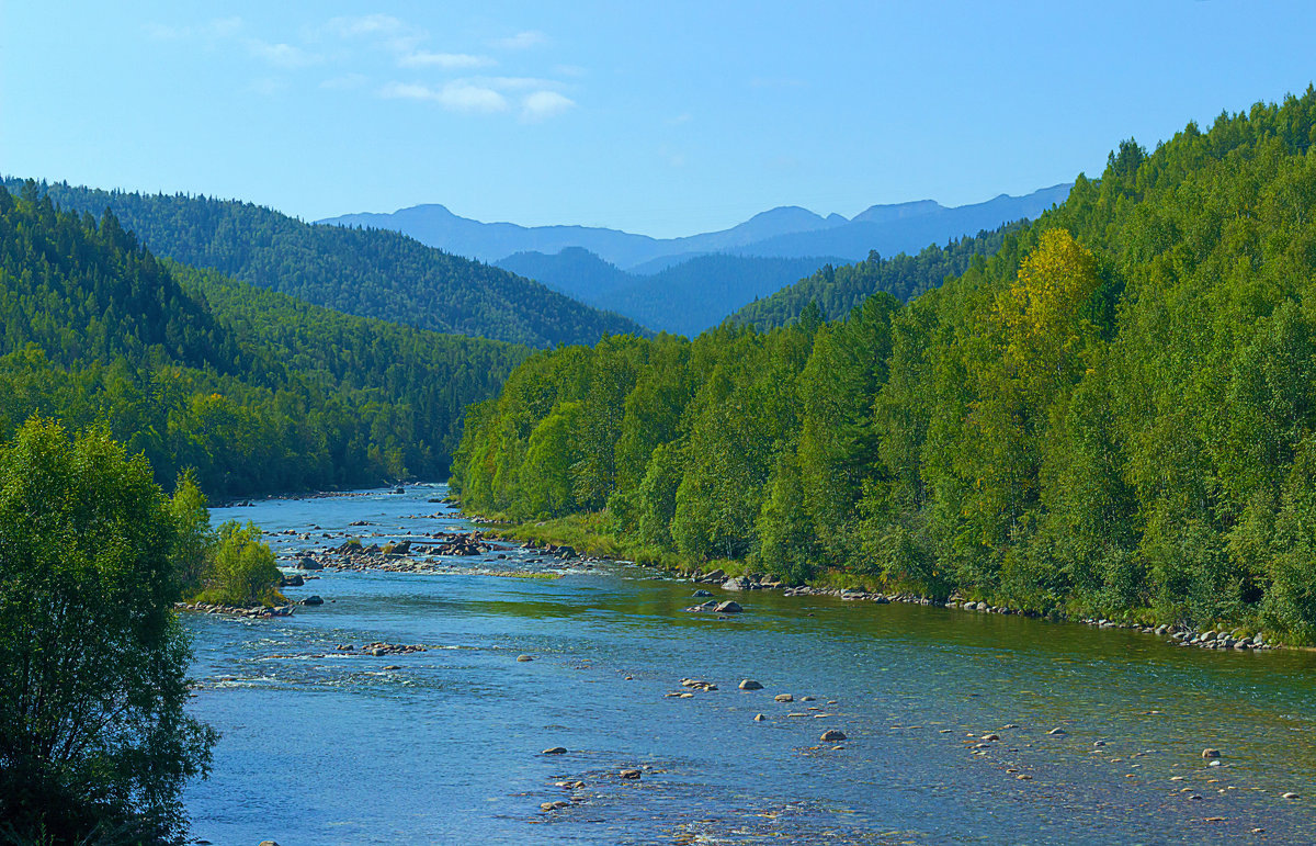 Россия: сибирская река. Фото из Яндекс картинки