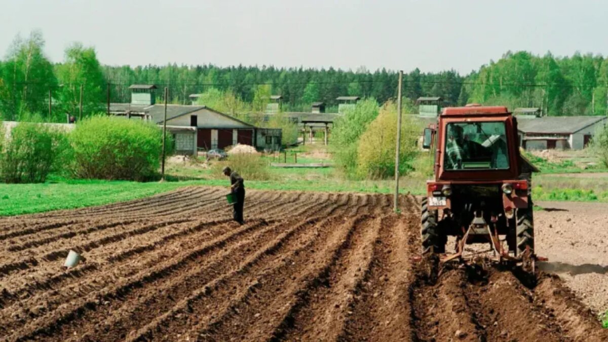 Фото: Виктор Лисицын/Global Look Press