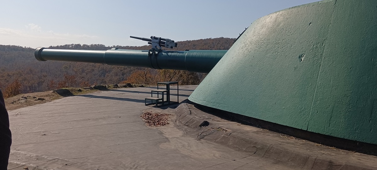 Пушечка на пушке, словна птичка-клещеловка на носороге - это как раз и есть пристрелочная система. 