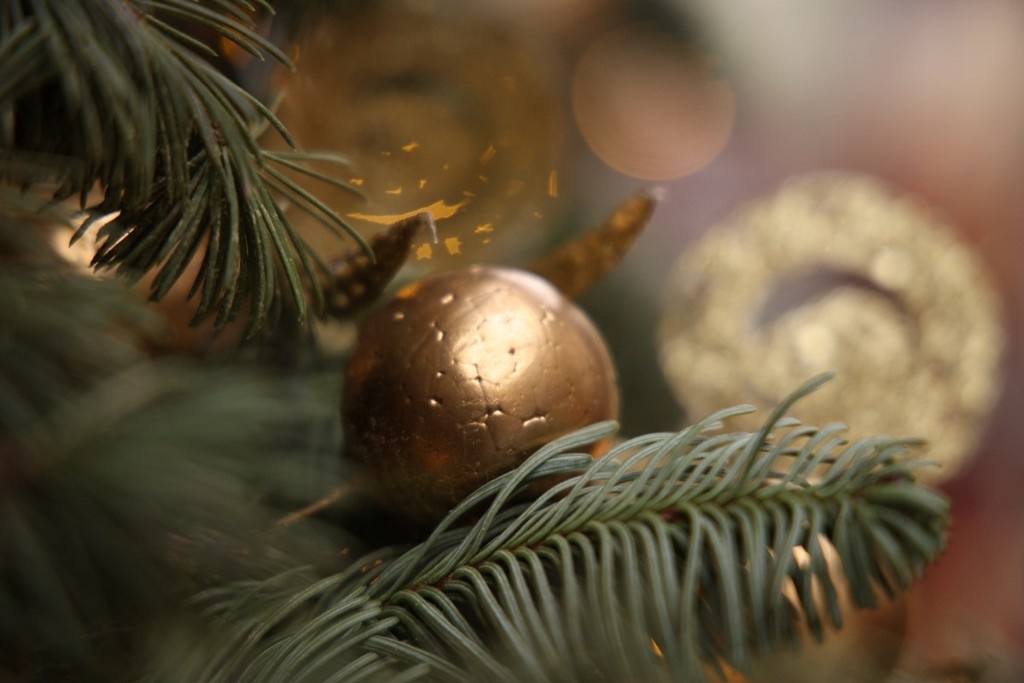    Фото © Анастасия Романова / Абзац