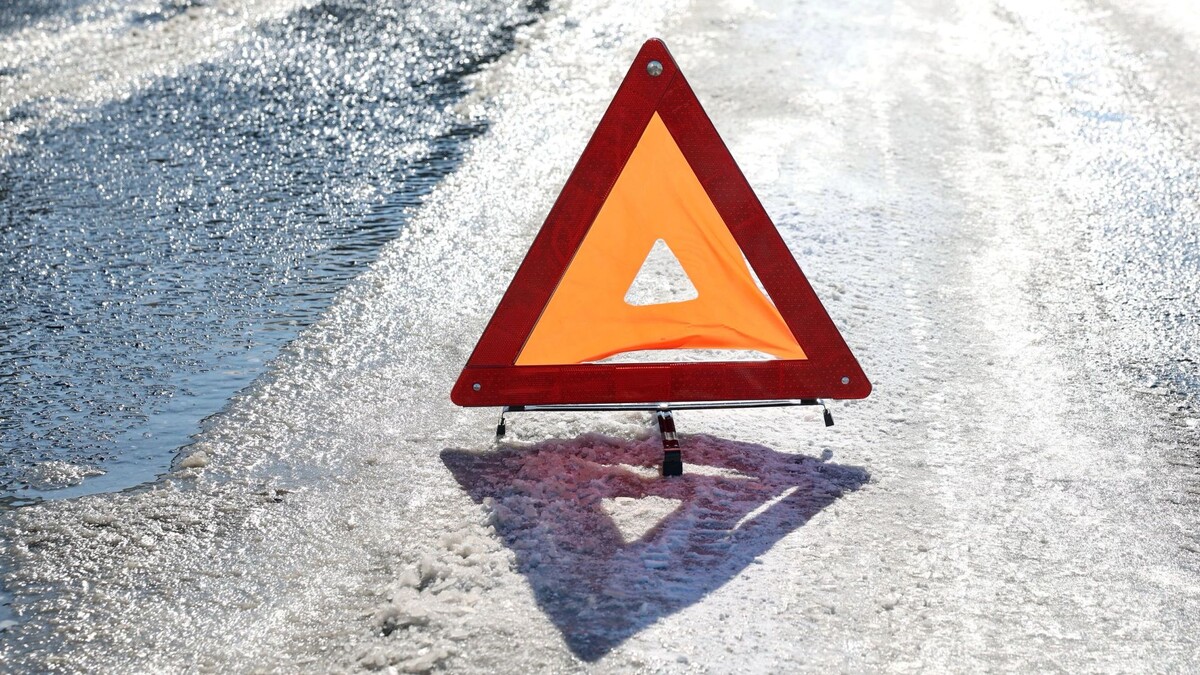    Фото: Андрей Ткачёв/«Ямал-Медиа»