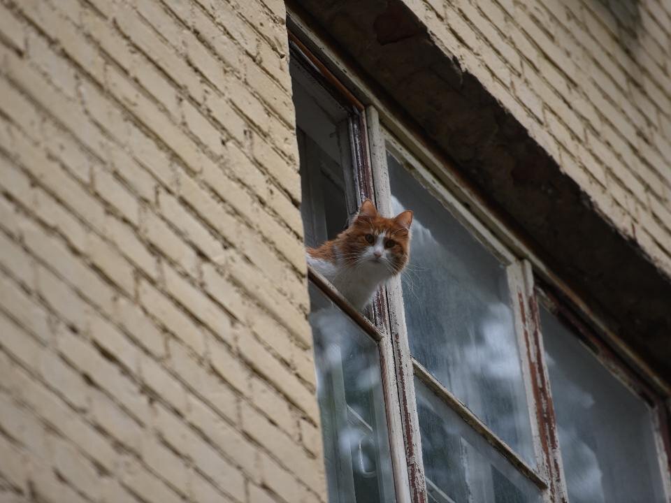    Фото: медиасток.рф