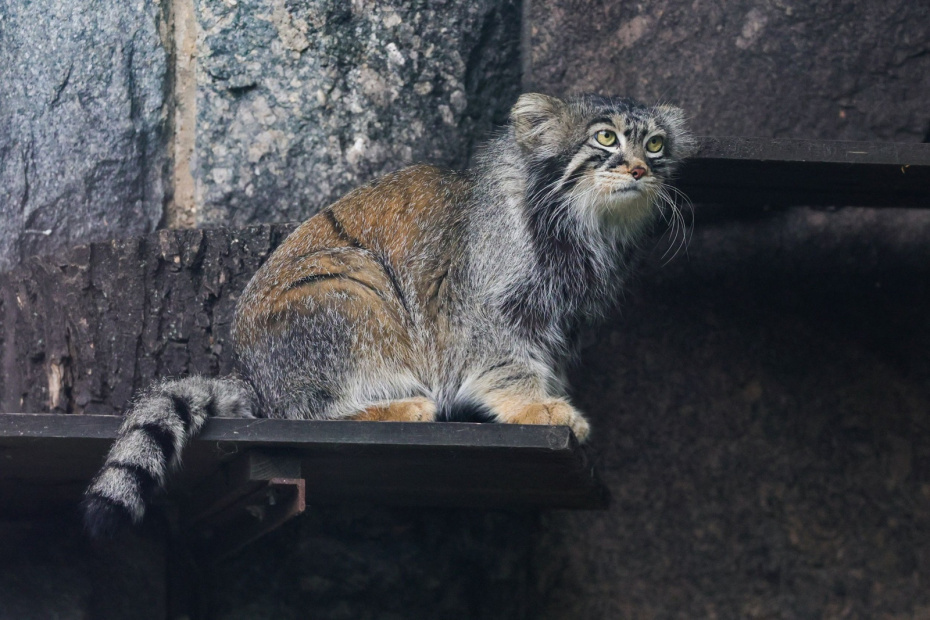    Наталья Шатохина/NEWS.ru