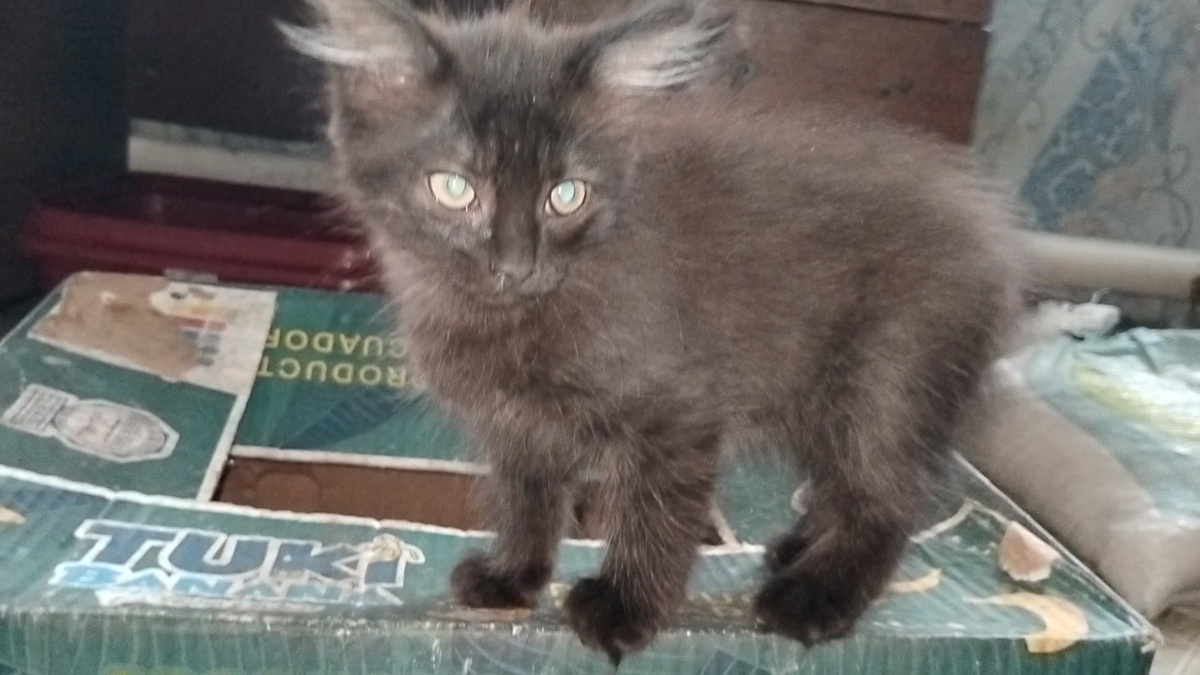 Фото автора