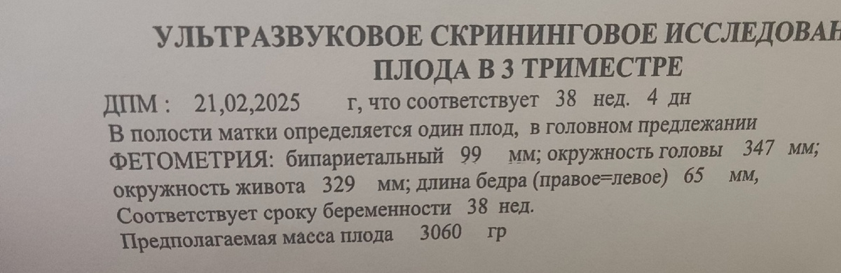 Последнее УЗИ. 