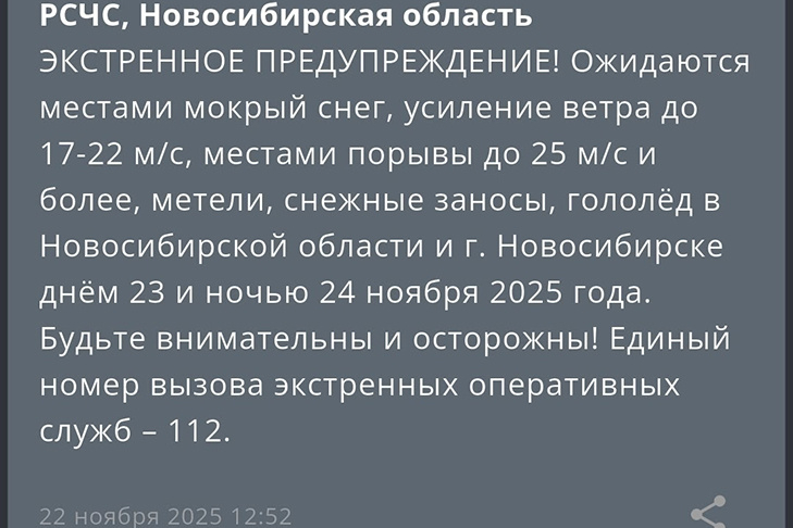 © Фото VN.ru.📷
