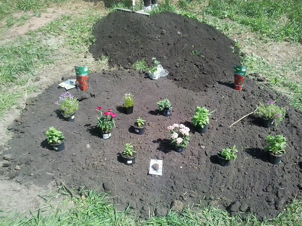 Так всё начиналось